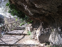 cantara gurne23122011 168